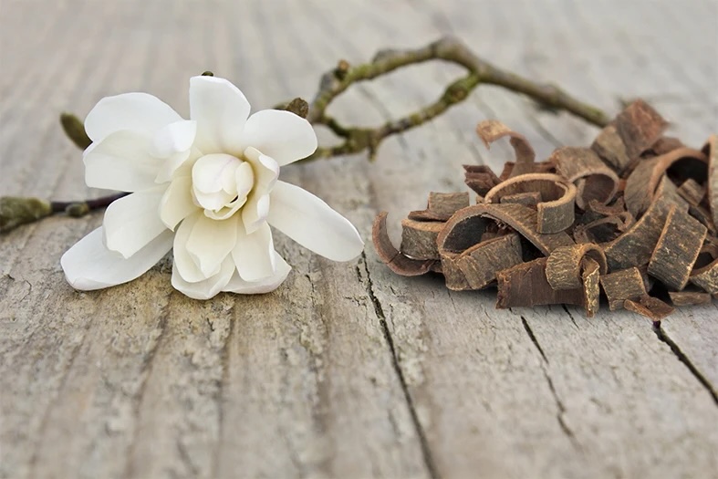 Source: https://drianstern.com/blogs/learn/magnolia-bark