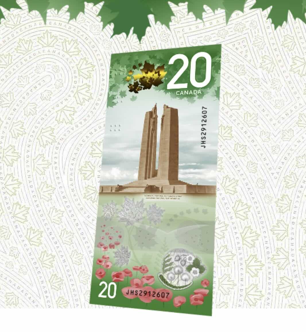 image-du-memoprial-a-vimy.jpeg