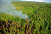feu_de_foret_au_quebec.jpg
