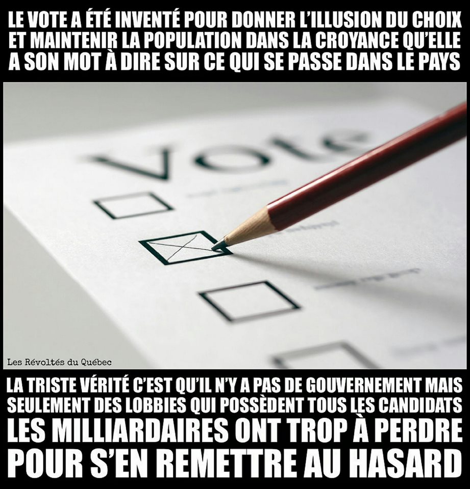 l-illusion-du-vote.jpg