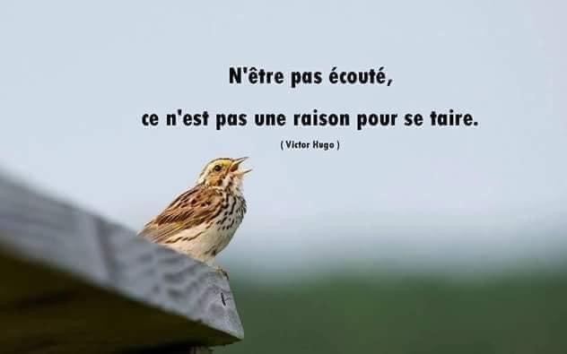 n-etre-pas-ecoute-n-est-pas-une-raison-pour-se-taire.jpg