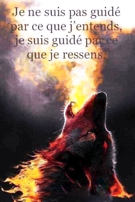 soyez-guides-par-ce-que-vous-ressentez.jpg