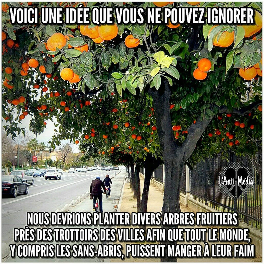 arbres-fruitiers-en-ville.jpg