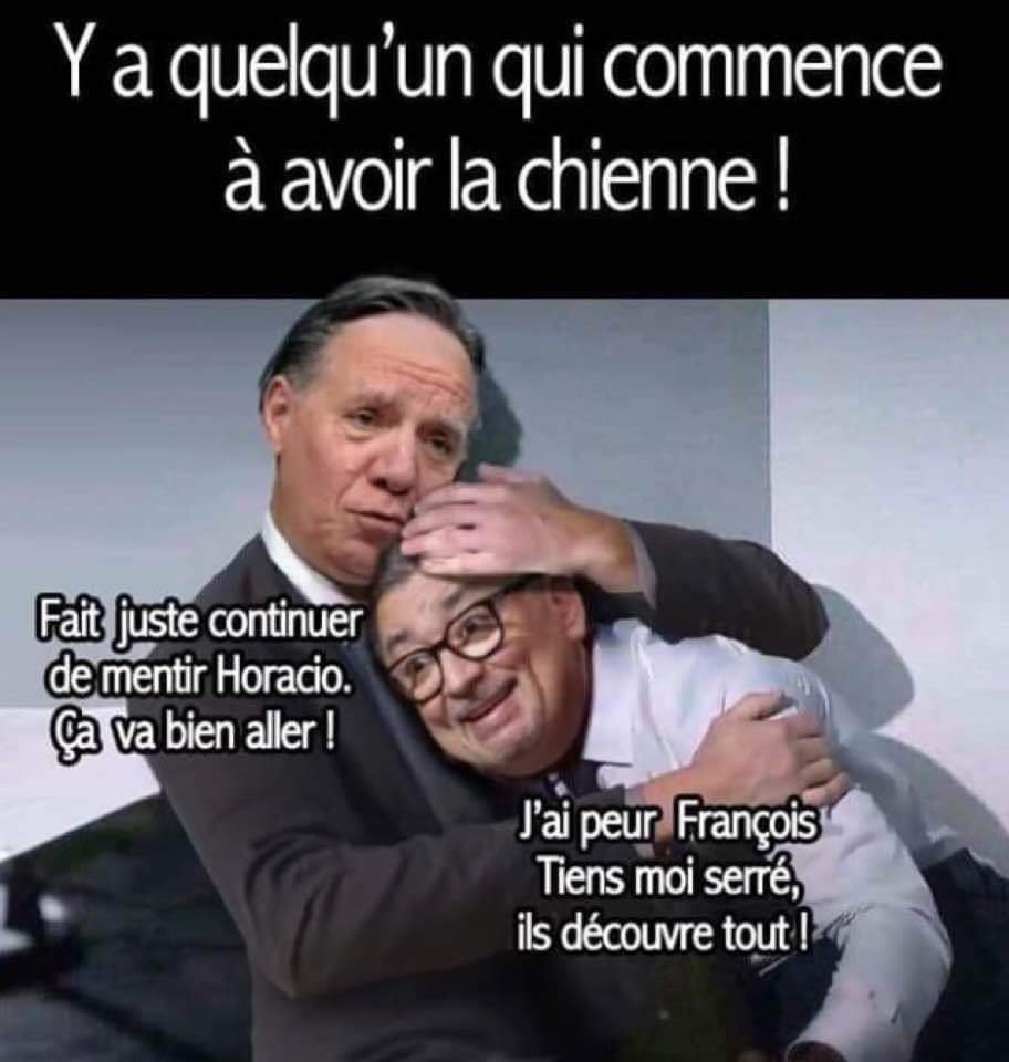 arruda-qui-a-la-chienne.jpg