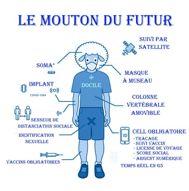 le-mouton-du-futur.jpg
