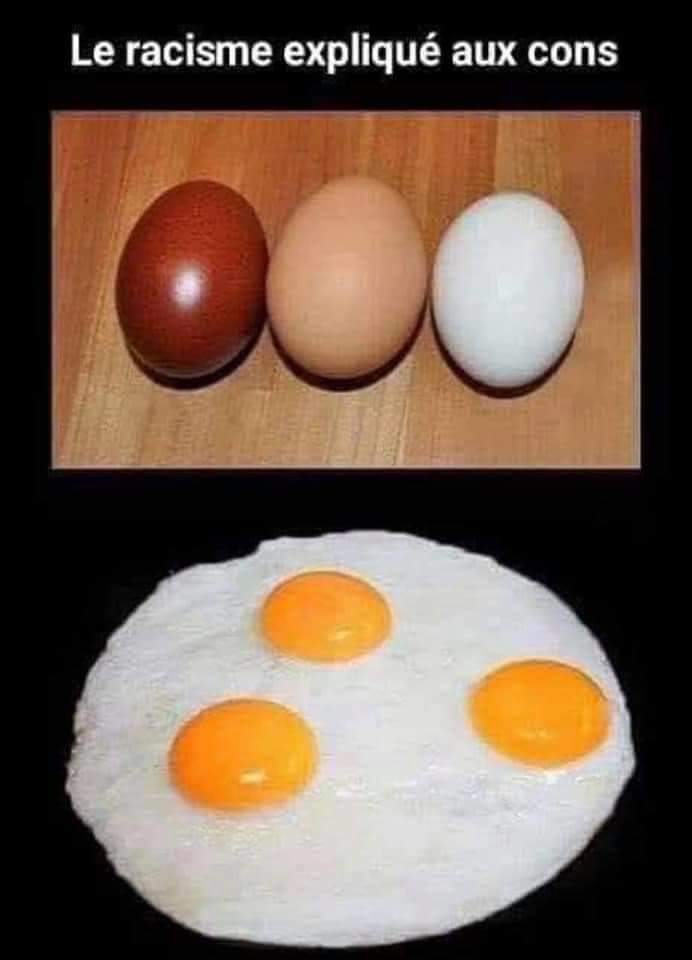 le-racisme-explique.jpg