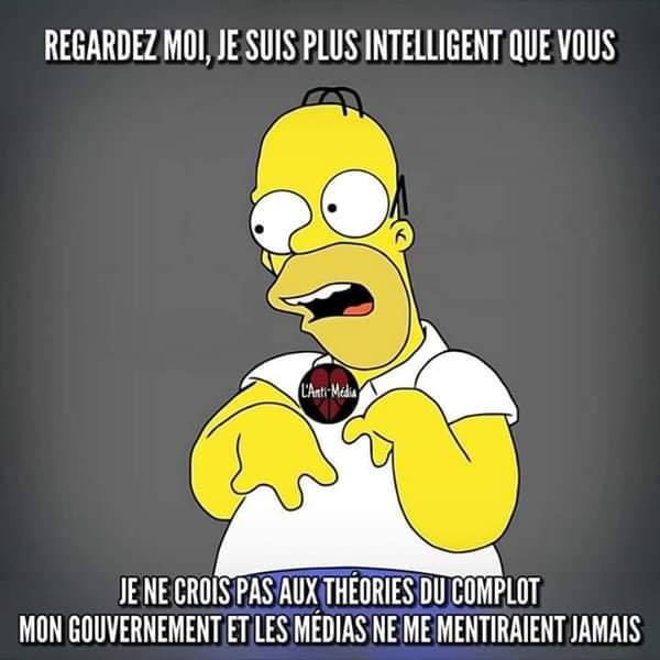homer-simpson-qui-croit-son-gouvernement.jpg