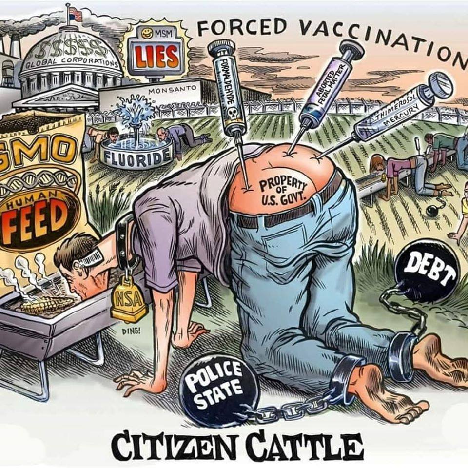 l-agenda-de-vaccination-forcee.jpg