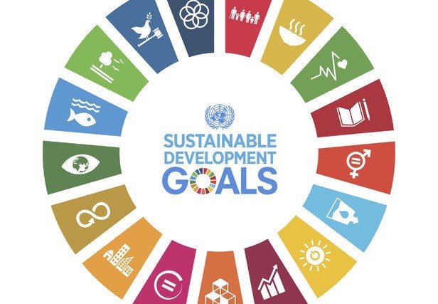 le-fameux-developpement-dirable-de-l-onu.jpg