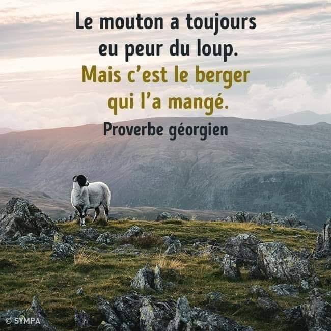 le-mouton-devrait-se-mefier-du-berger.jpg