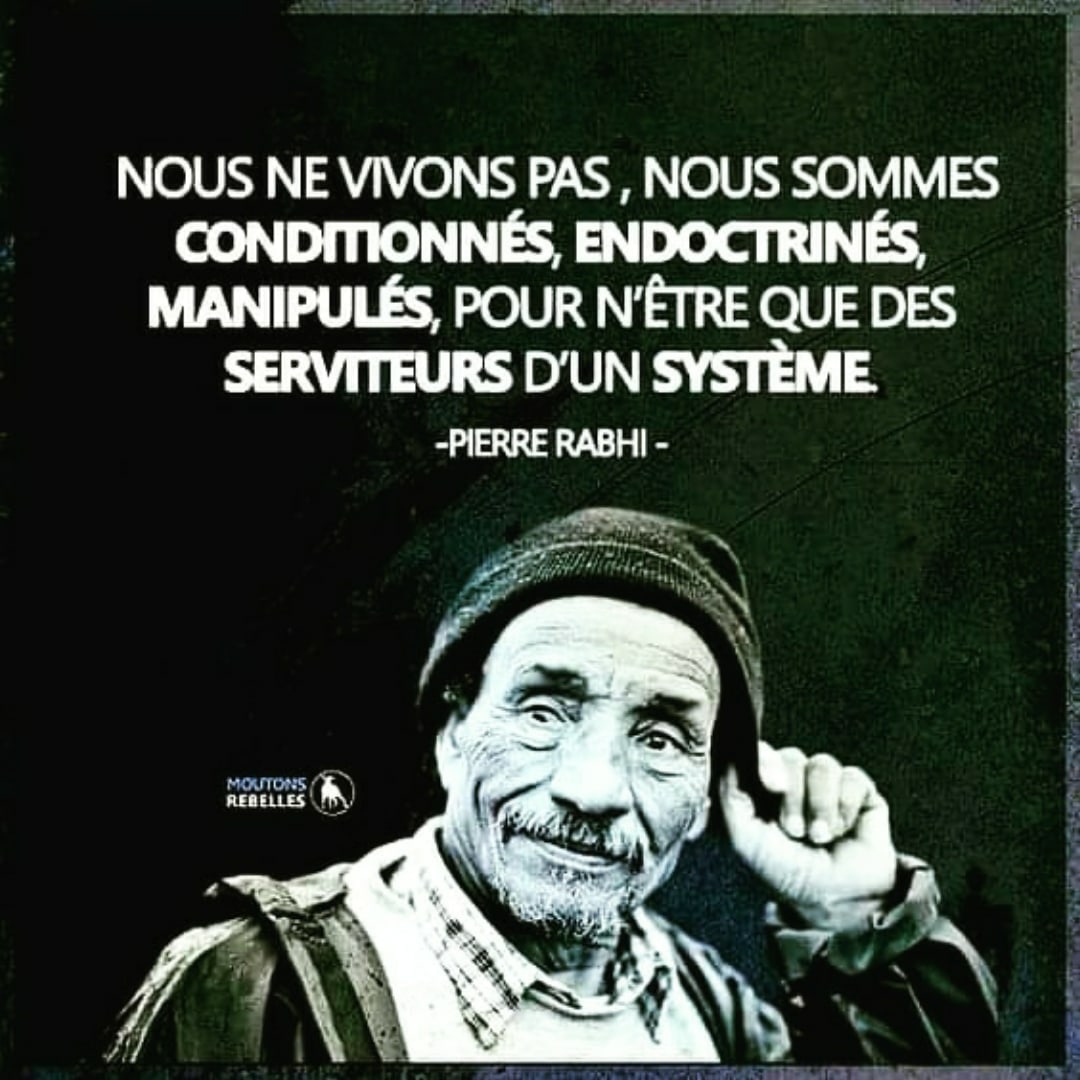 les-serviteurs-du-systeme.jpg