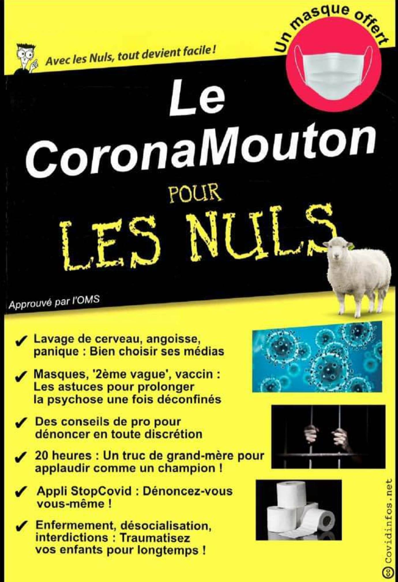le-coronamouton-pour-les-nuls.jpg