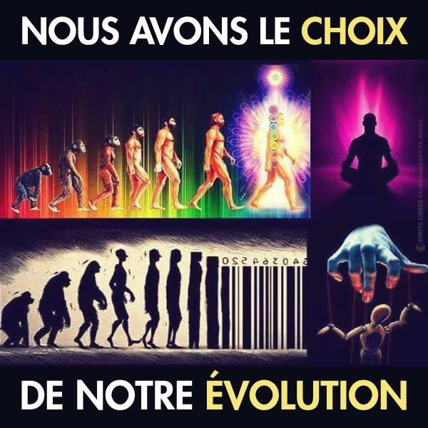 le-choix-de-notre-evolution.jpg