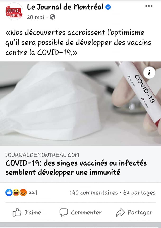 immunite-au-covid-19.jpg