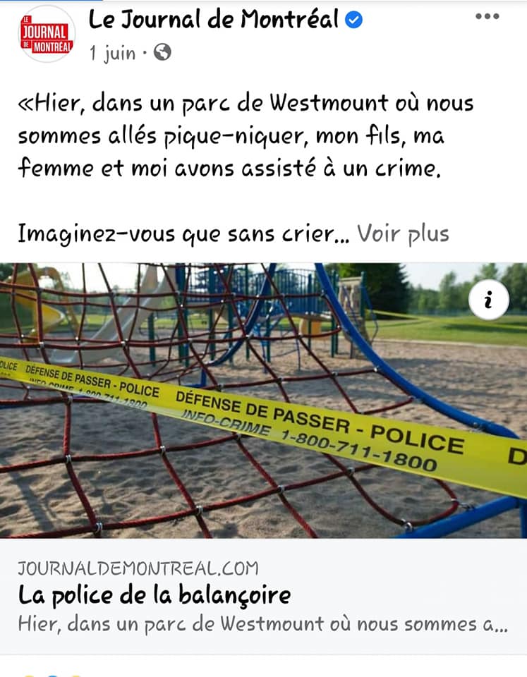 la-police-de-la-balancoire.jpg