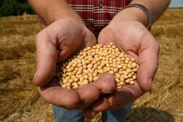 bayer-monsanto-signe-mercredi-accord.jpg
