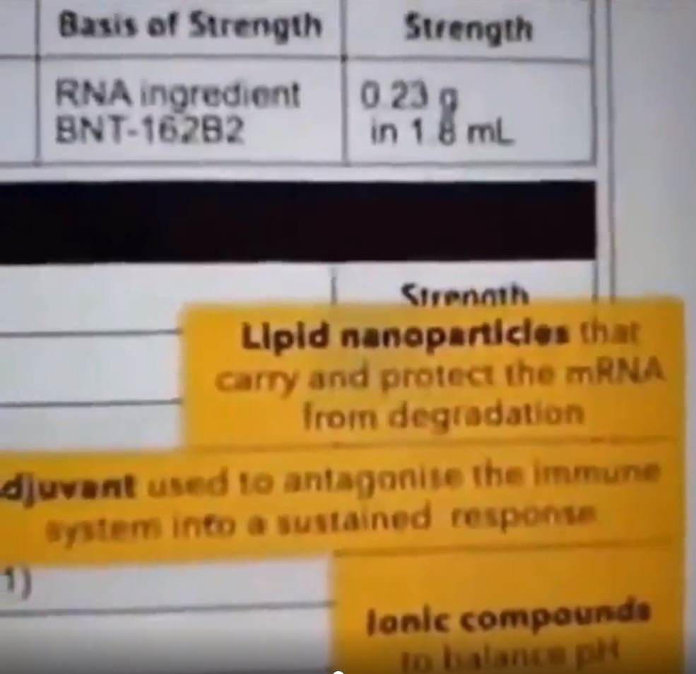 lipid-nanoparticles-in-pfizer-biontech-covid-19-vaccine.JPG