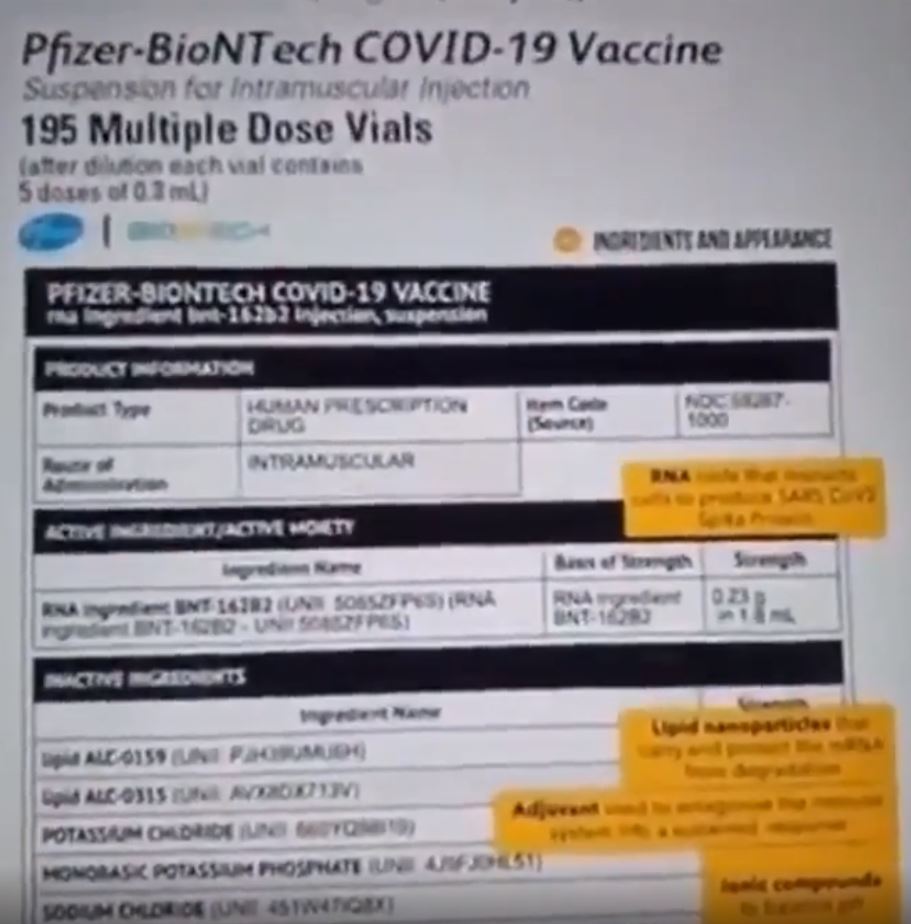 pfizer-biontech-et-les-nanoparticules.JPG