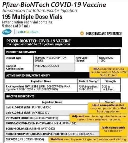 ingredients-du-vaccin-covid-pfizer-biontech.jpg