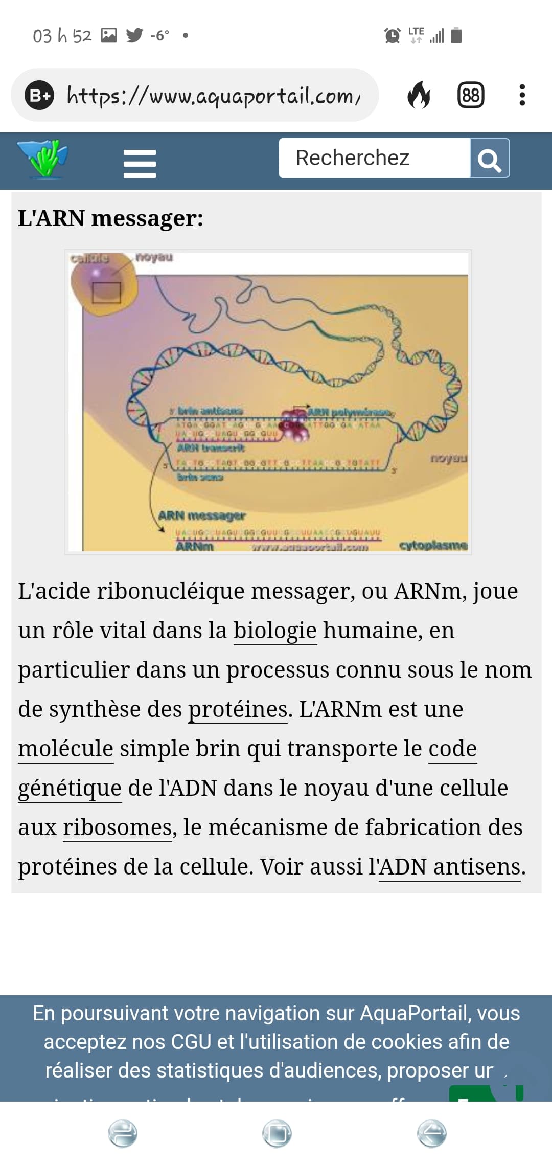 courte-explication-de-l-arn-messager.jpg