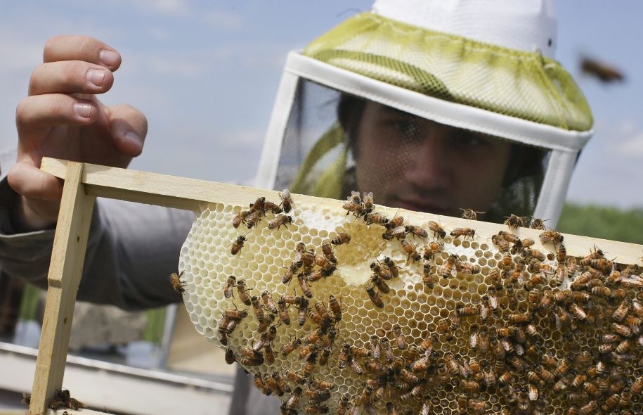 Photo: John Minchillo Associated Press.
