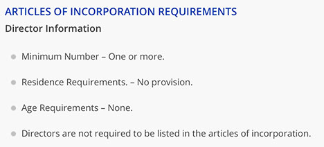delaware-inc-requirements.jpg