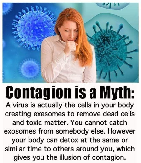 la-contagion-est-un-mythe.jpg