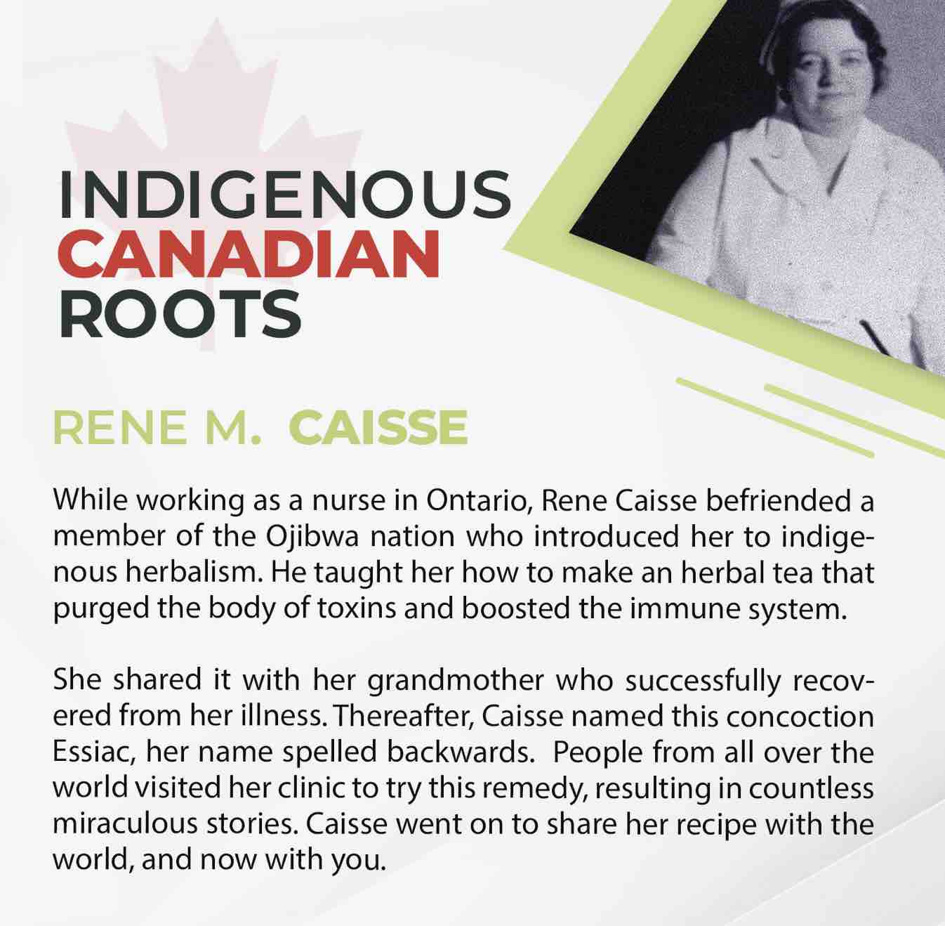 racines-amerindiennes-de-la-recette-de-renee-m-caisse.jpg
