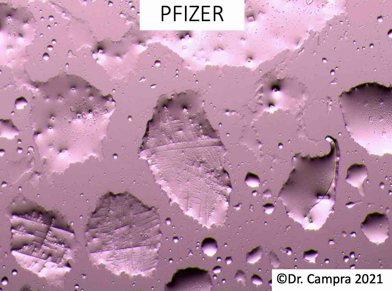 nanocristaux-pfizer-dr-campra-2021.jpg