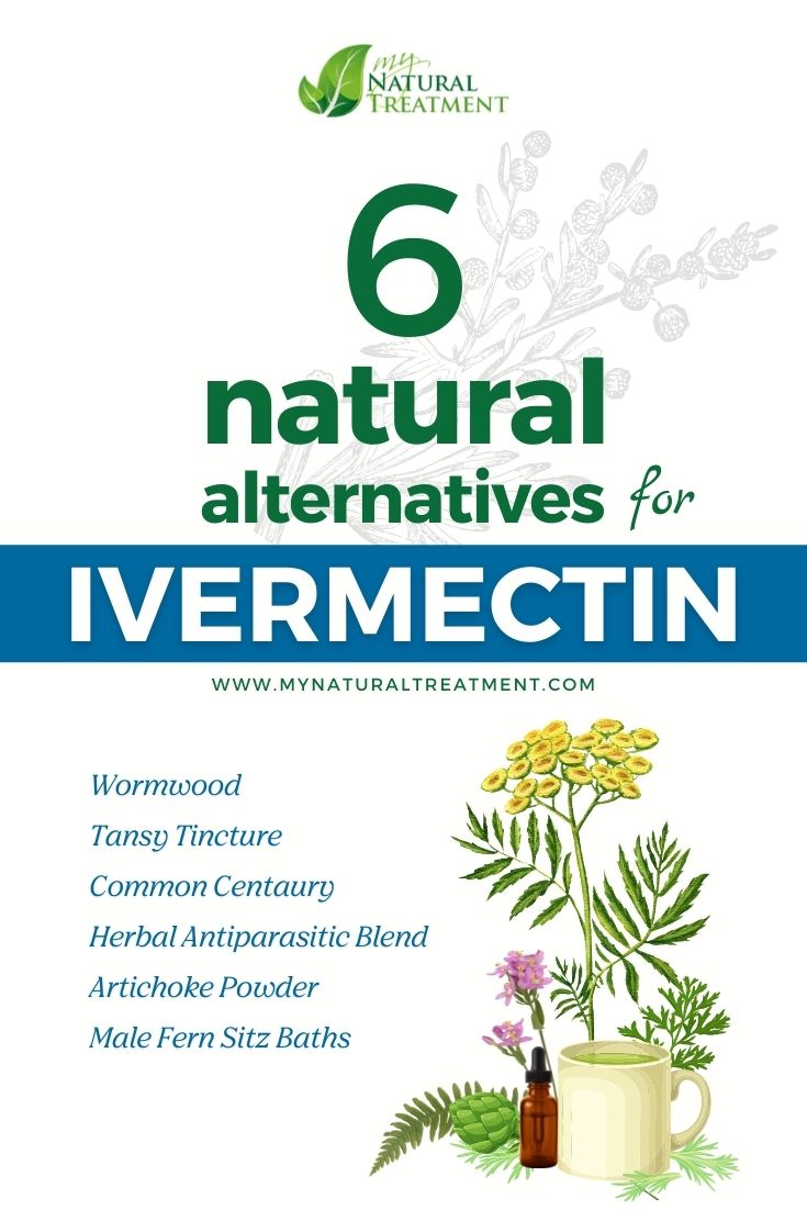 6-traitenents-naturels-alternatifs-pour-l-ivermectine.jpg